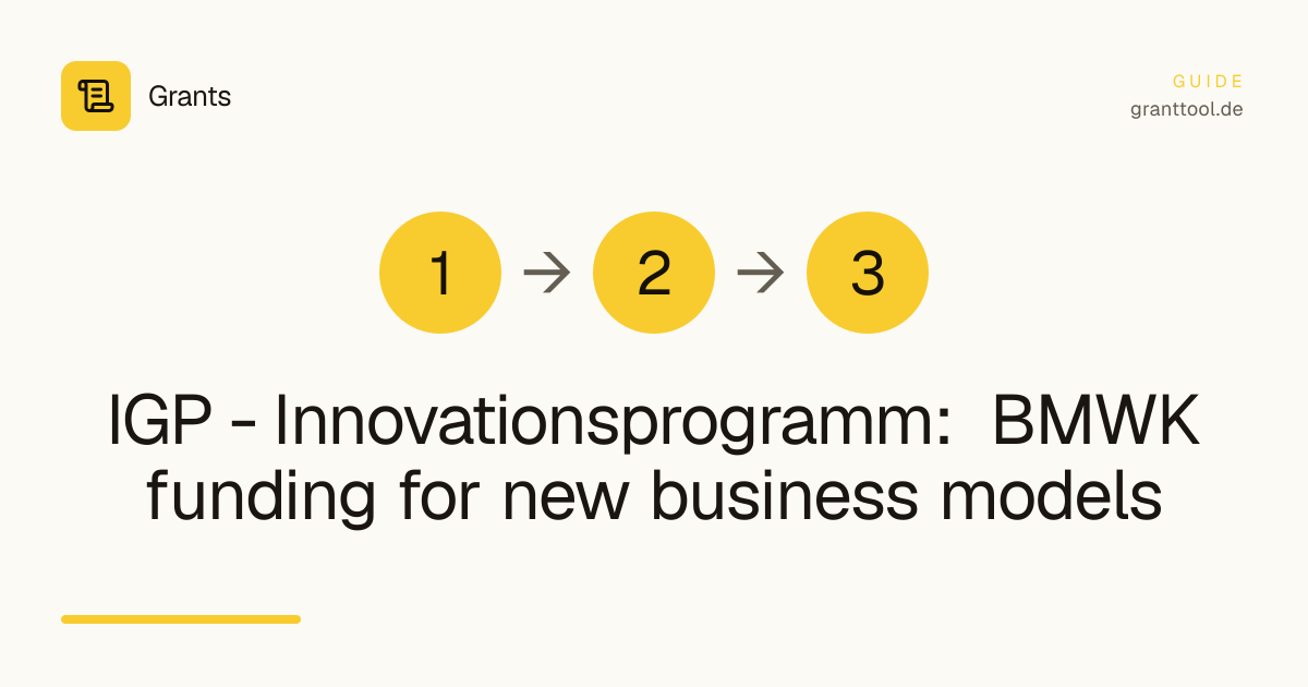IGP - Innovationsprogramm: BMWK funding for new business models