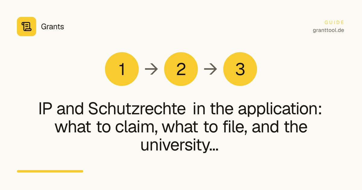IP and Schutzrechte in the application: what to claim, what to file, and the university question